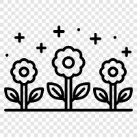 bouquets, flowers, floral, floral arrangements icon svg