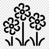 bouquets, floral, garden, plants icon svg