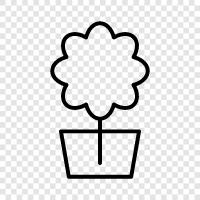 bouquets, arrangements, florist, flora icon svg