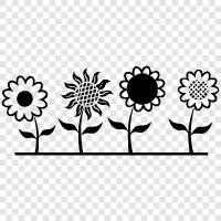 bouquets, arrangements, plants, flowers icon svg