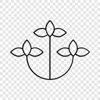 bouquets, arrangements, flora, garden icon svg