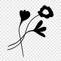 Blumensträuße, Arrangements, Blumen, Garten symbol
