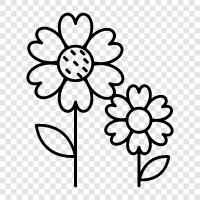 Blumensträuße, Arrangements, Flora, Garten symbol