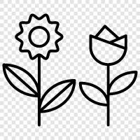 bouquets, arrangements, plants, garden icon svg