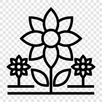 bouquets, flora, gardening, plants icon svg