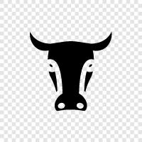 bovine, beef, agriculture, farm icon svg