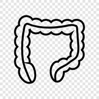 bowel, bowel movement, bowel cancer, intestines icon svg