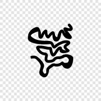 bowel, colon, rectum, anus icon svg