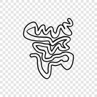 bowel, intestine obstruction, constipation, diarrhea icon svg