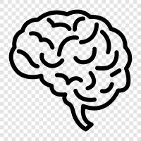 brain anatomy, brain function, brain diseases, brain injuries icon svg