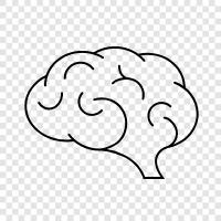 Brain Cells, Brain Disorders, Brain Surgery, Brain Tumor icon svg