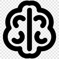 brain function, cognitive function, memory, learning icon svg