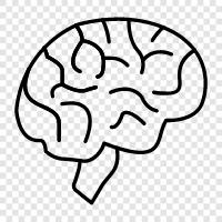 Brain function, Brain injury, Brain tumors, Brain scan icon svg