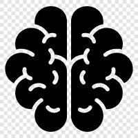 Brain Injury, Brain Surgery, Brain Tumors Brain, Brain icon svg