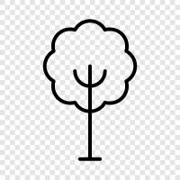 branch, leaves, fruit, bark icon svg