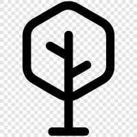 branch, leaves, bark, fruit icon svg