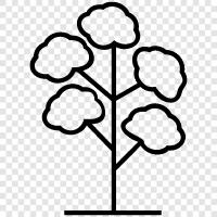 branch, leaves, trunk, bark icon svg