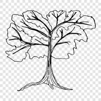 branches, leaves, bark, trunk icon svg