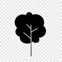 branches, leaves, height, width icon svg