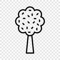 branches, leaves, trunk, roots icon svg