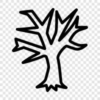 Zweige, Blätter, Wurzeln, Baum symbol