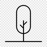 branches, leaves, needles, bark icon svg