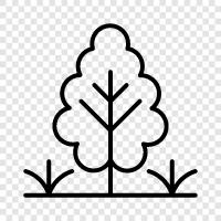 branches, leaves, bark, fruit icon svg