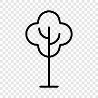 branches, leaves, trunk, roots icon svg