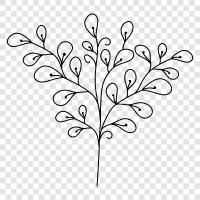 Branches, leaves, Flowers, Fruits icon svg