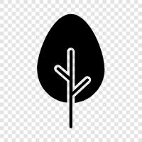 branches, leaves, needles, bark icon svg