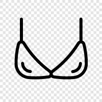 bras, brassieres, bra, bras for women icon svg