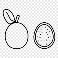 brazil, guava, fruit, tropical icon svg