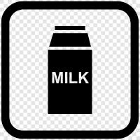 breastfeeding, calcium, dairy, protein 1. Breastfeeding: Breast icon svg