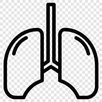 breathing, lungs, breathing exercises, lung cancer icon svg