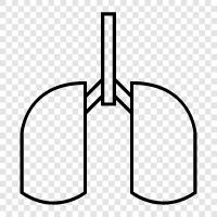 breathing, breathing system, lung cancer, lung diseases icon svg