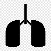 Atem, Lungen, Atemübungen, Asthma symbol