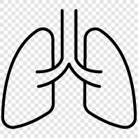 breathing, lungs, bronchitis, tuberculosis icon svg