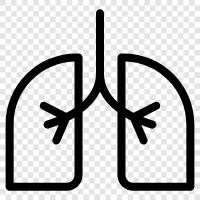 Breathing, Pulmonary, Respiratory, Lungs Diseases icon svg