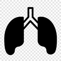 Breathing, Lung cancer, Lung infection, Lung function icon svg