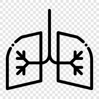 Breathing, Lung cancer, Lung infections, Lungs and smoking icon svg