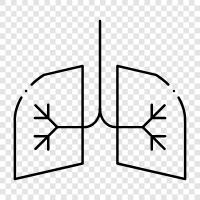 breathing, lungs, breathing exercises, upper respiratory syndrome icon svg