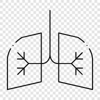 breathing, lungs, diseases, asthma icon svg