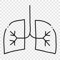 breathing, smoker s, asthma, COPD icon svg