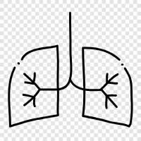 breathing, lungs, bronchus, air icon svg