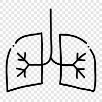 Breathing, Oxygen, Lung cancer, Lung infection icon svg