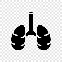 breathing, lungs, breathing exercises, clear breathing icon svg