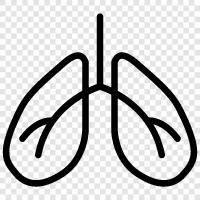 Atmung, Lungen, Atemübungen, Atemtechniken symbol