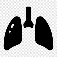 breathing, smoking, lung cancer, emphysema icon svg