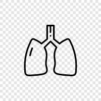 breathing, lungs, diseases, pneumonias icon svg