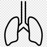 breathing, oxygen, carbon dioxide, lung cancer icon svg